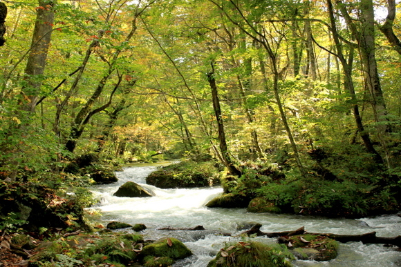 e0234741_22215364.jpg