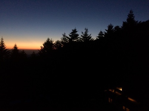 c0369344_08030023.jpeg