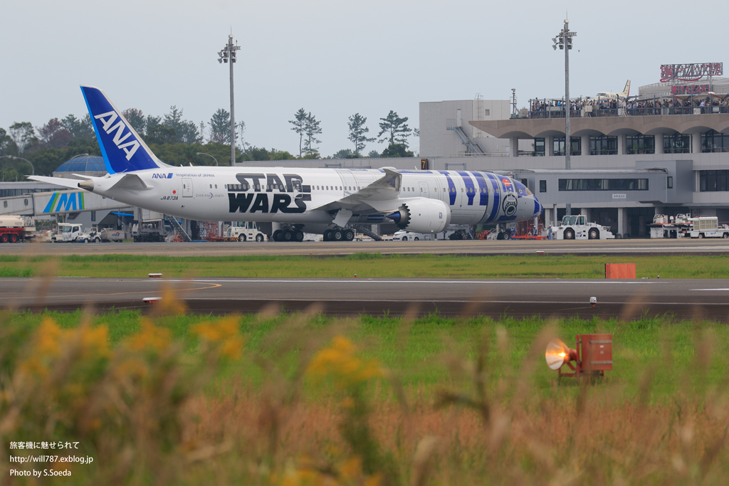 スターウォーズジェット 宮崎空港 飛行機写真 旅客機に魅せられて