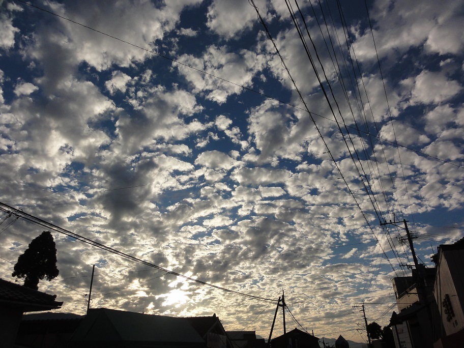 d0264557_16012329.jpg