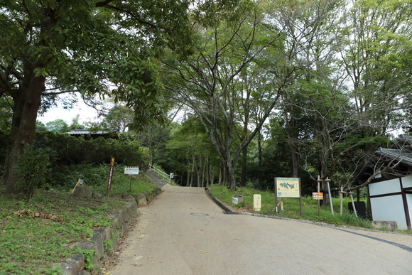 c0272958_0145633.jpg