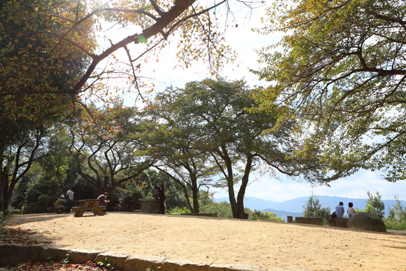c0272958_0151256.jpg