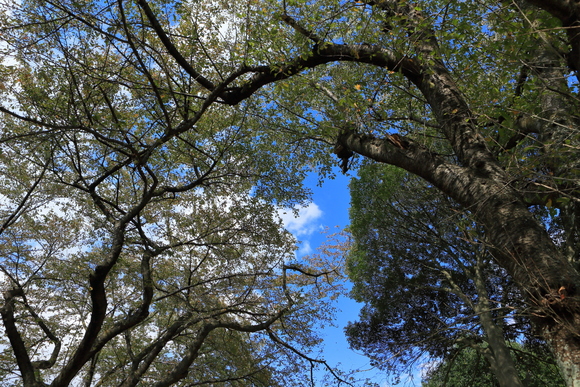 c0272958_0191432.jpg