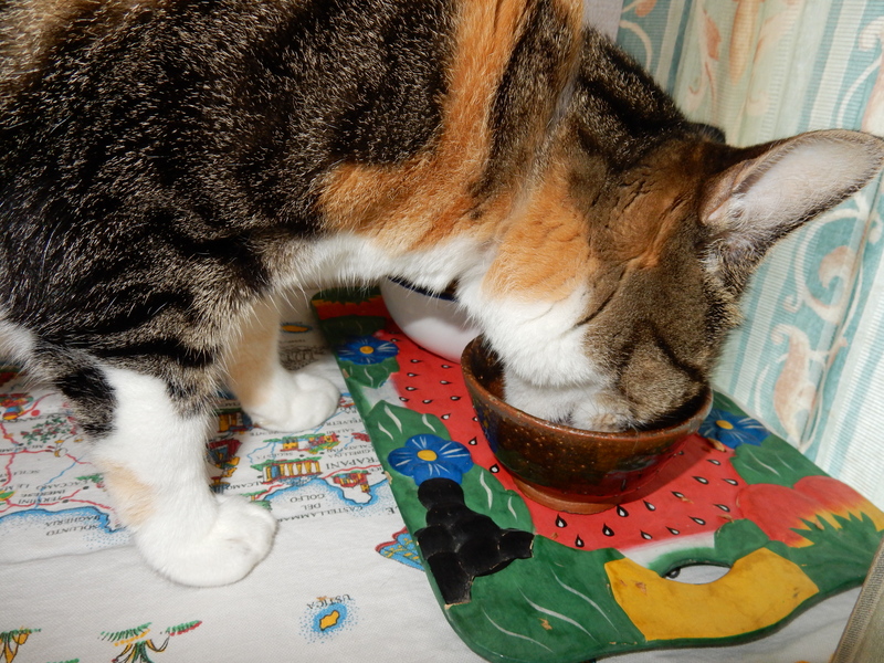 ’15,10,22(木)秋だもの!食欲の秋です!_f0060461_8175616.jpg