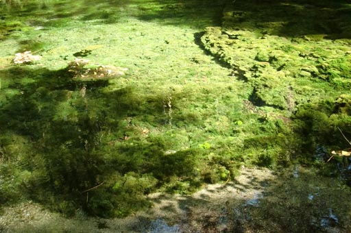 菊池渓谷 撮影_f0176370_15481022.jpg