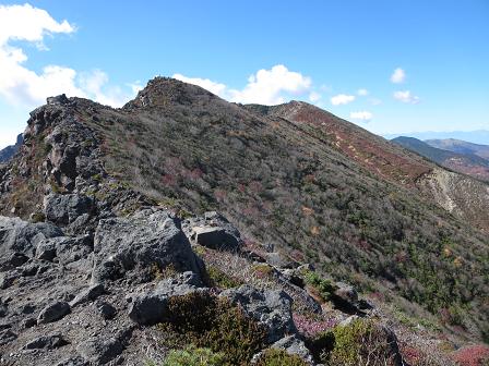 黒斑山　　輝くカラマツ周遊路_f0302771_2264951.jpg