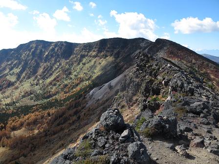 黒斑山　　輝くカラマツ周遊路_f0302771_2271054.jpg