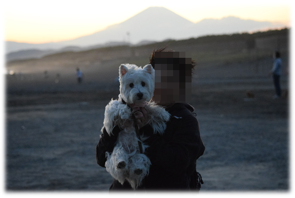 b0242873_01381546.png