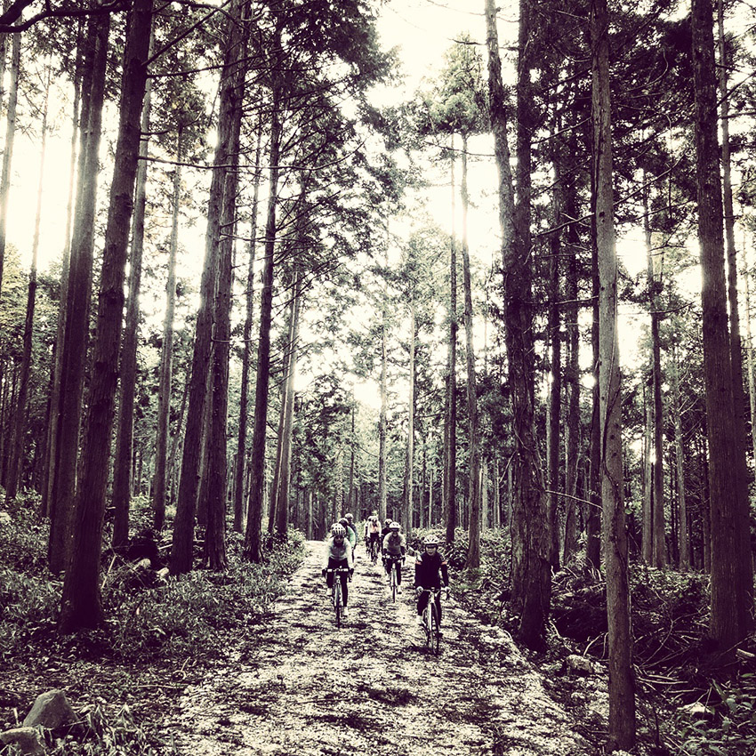 10月19日(月)に開催された「voyAge touring \'Le Tour de Yamaguchi 190km\'」的日記_c0351373_1011504.jpg