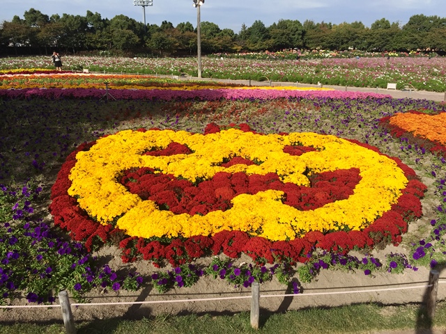 芳カツ亭　激ウマフライの組み合わせ　小ネタは真昼のウインターイルミネーション2015　志摩市阿児町_d0258976_2254755.jpg