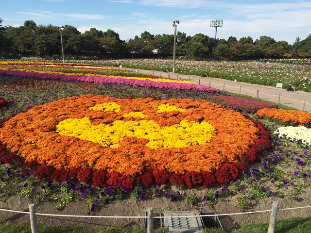 芳カツ亭　激ウマフライの組み合わせ　小ネタは真昼のウインターイルミネーション2015　志摩市阿児町_d0258976_226370.jpg