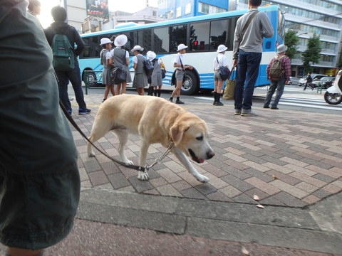 f0052277_1582673.jpg