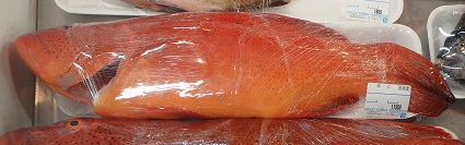沖縄観光 (国際通り)_d0195183_2015185.jpg