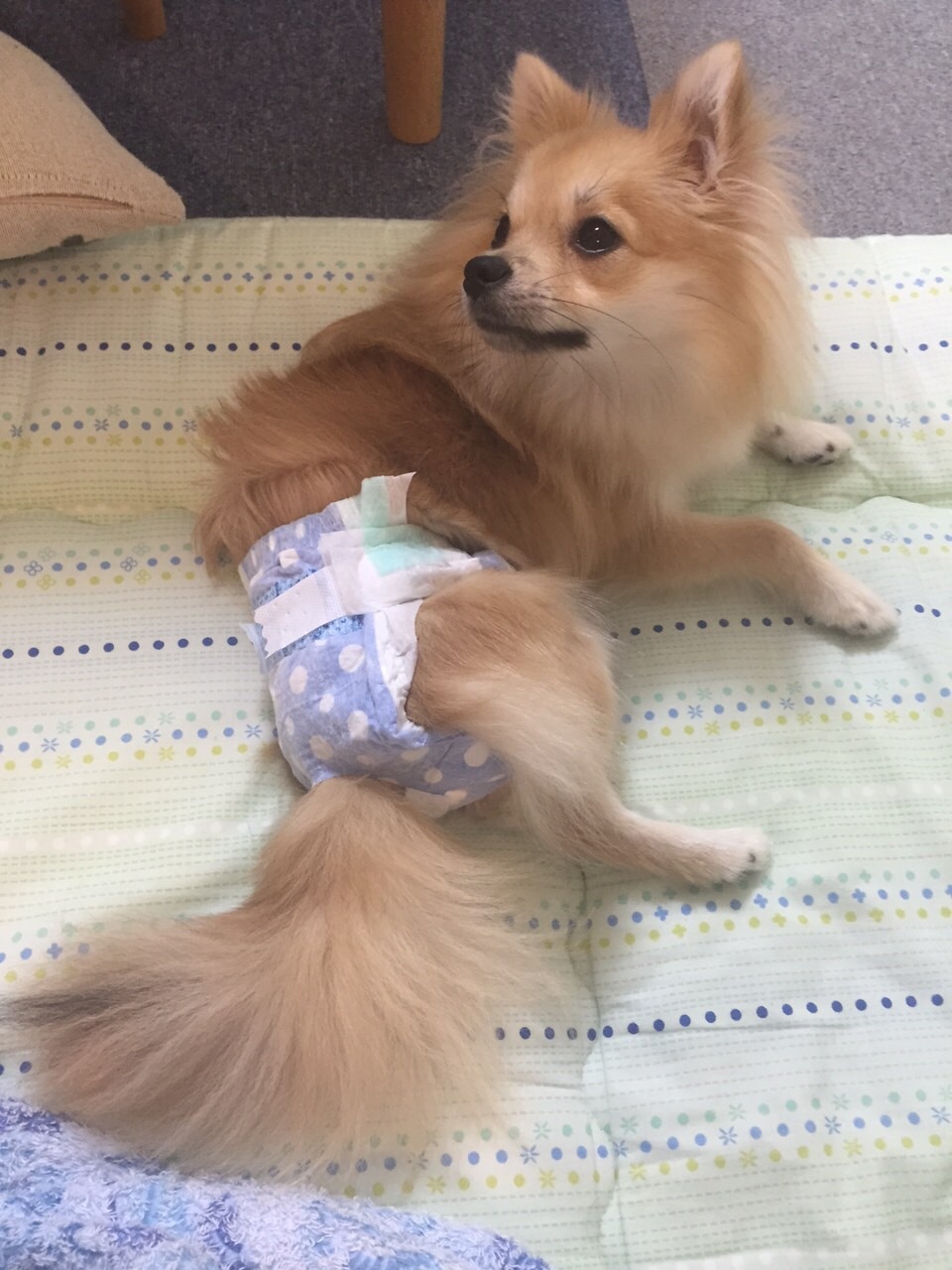 c0315684_16531112.jpeg