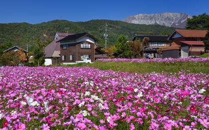 ちょっと早めに家を出て関金経由蒜山.大山を周っての......_b0194185_16265790.jpg