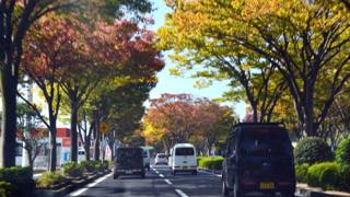 ちょっと早めに家を出て関金経由蒜山.大山を周っての......_b0194185_16324680.jpg