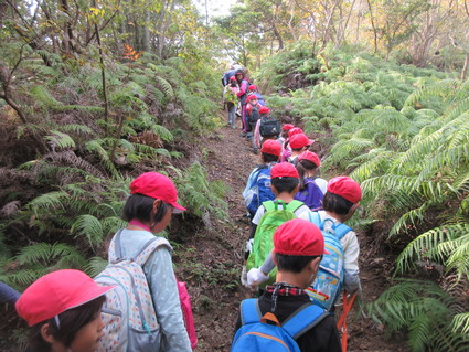 淡輪小学校2年生の遠足（孝子の森）_f0053885_20102470.jpg