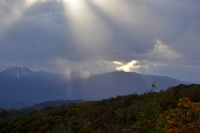 f0212586_6511990.jpg