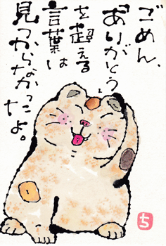 ごめんねこ・ありがとうを超える言葉_a0030594_23283719.gif