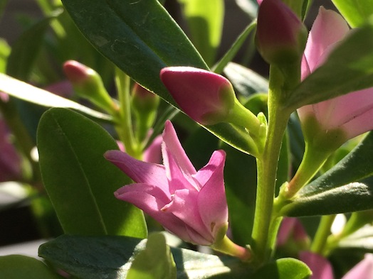 c0124998_15525152.jpg