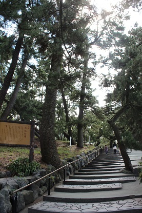 c0341398_10505591.jpg
