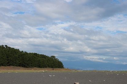 静岡～清水・日本平旅行　その1。_c0341398_10510350.jpg