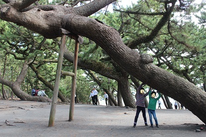 静岡～清水・日本平旅行　その1。_c0341398_10510941.jpg