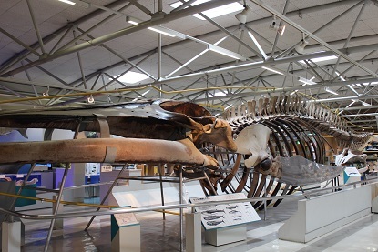 c0341398_11475109.jpg