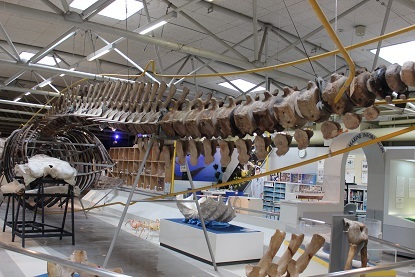 c0341398_11475677.jpg
