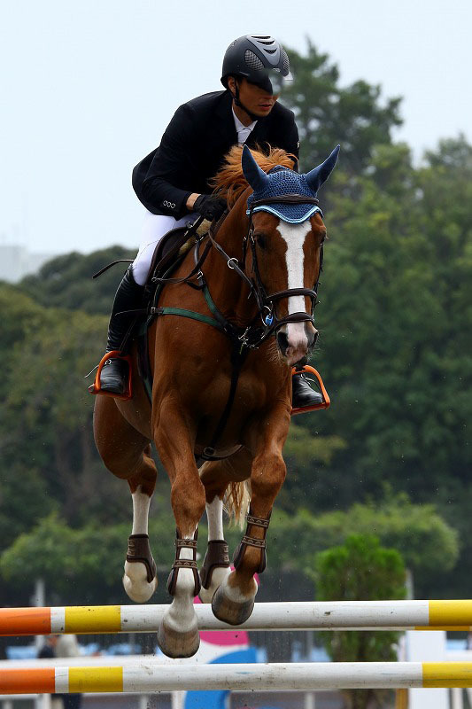 華麗にジャンプするサラブレッドたち 馬事公苑の馬術大会にて 旅プラスの日記