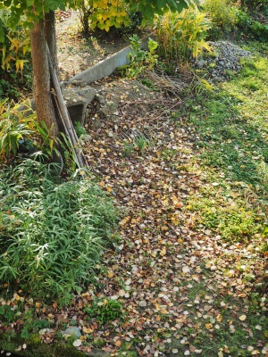 c0336902_1644497.jpg
