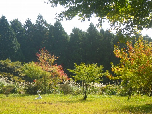 f0187402_17553732.jpg
