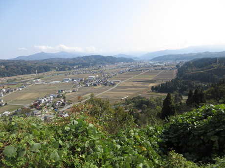 a0203003_2005984.jpg
