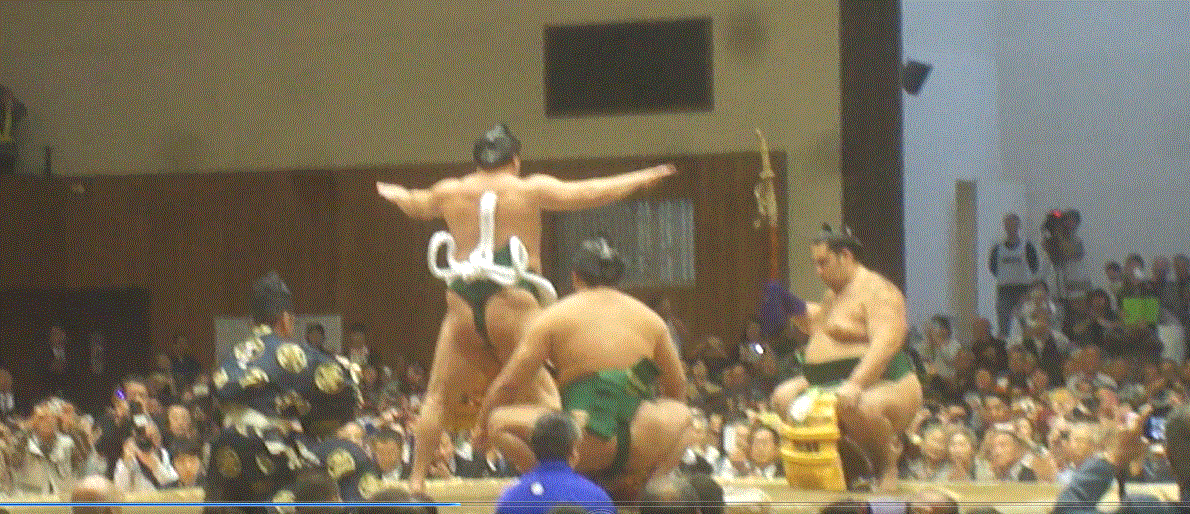 f0231709_020239.gif