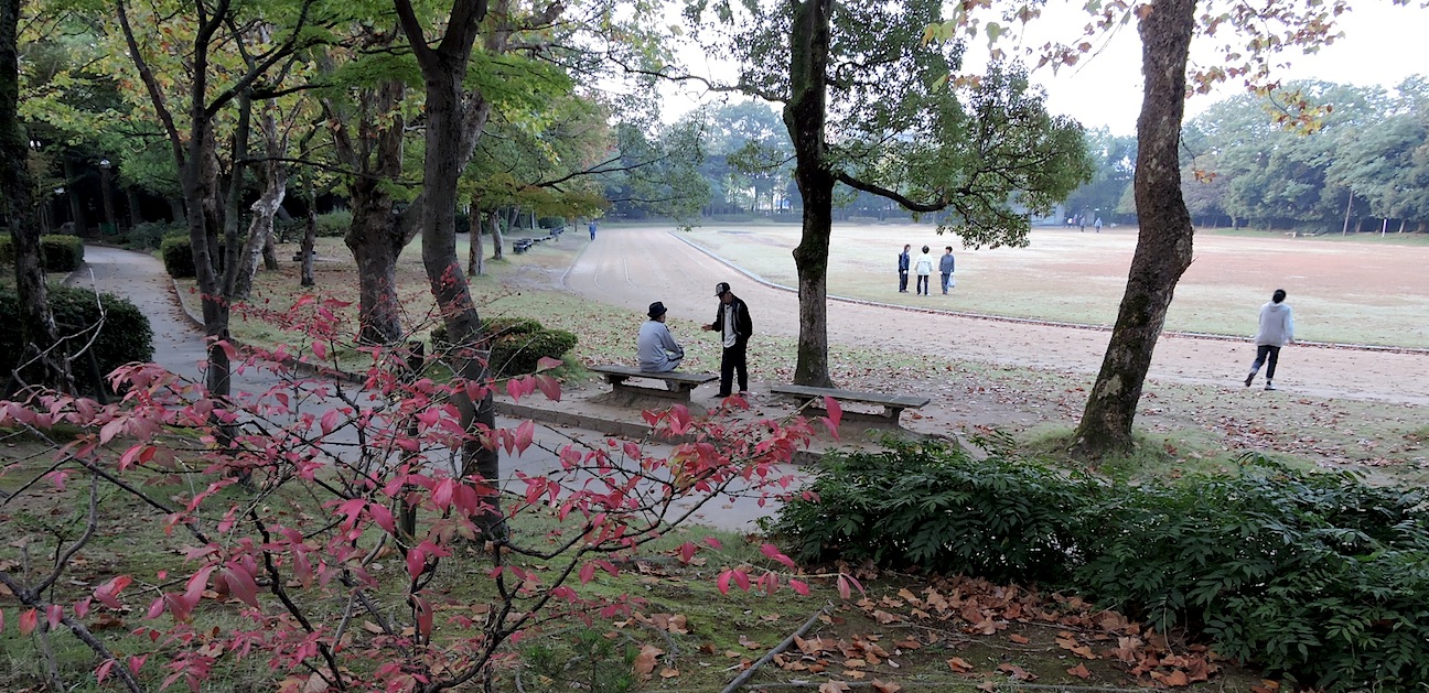 幾久公園2015【191】10月23日（金）_c0078410_8503429.jpg