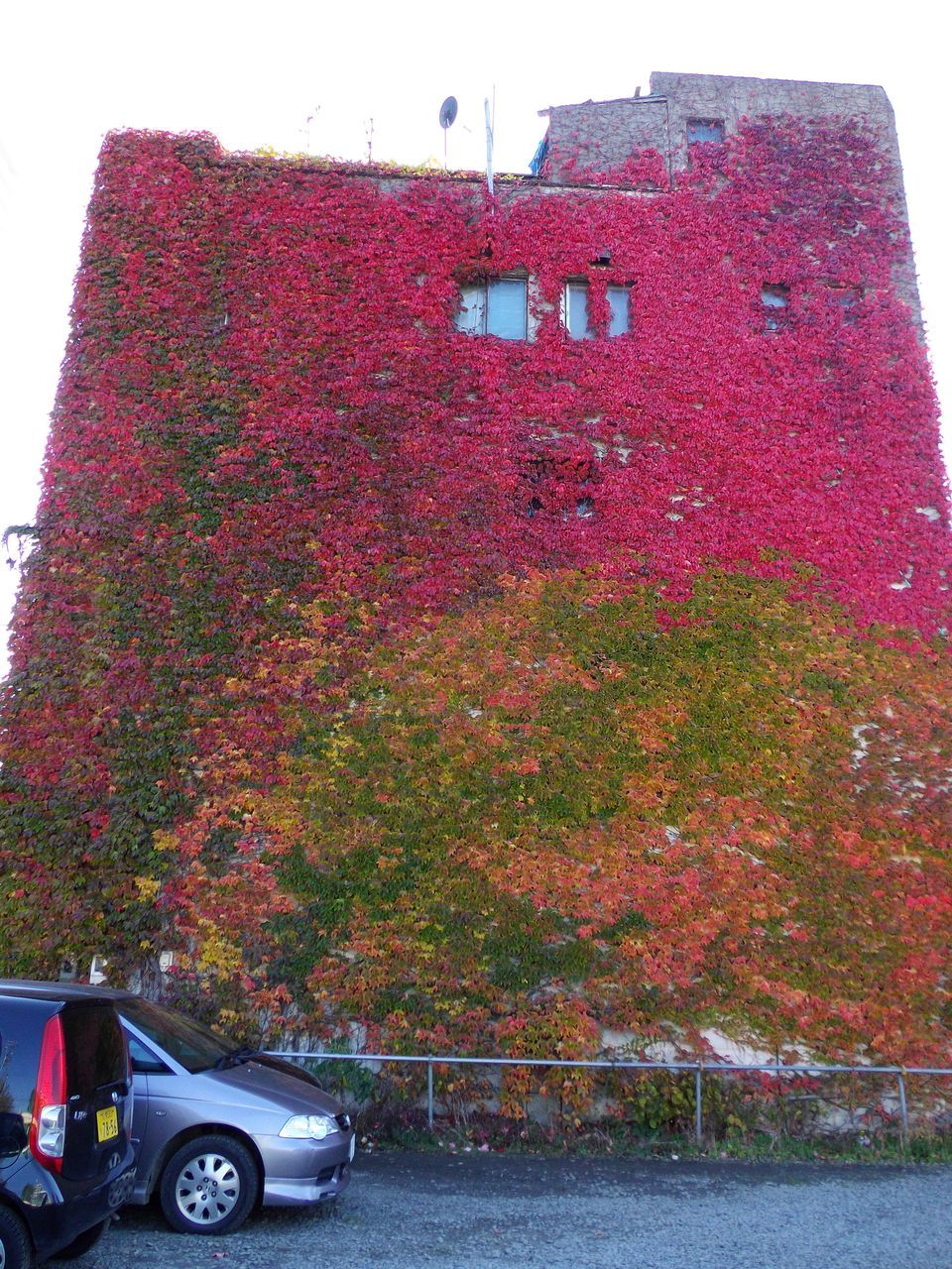 c0025115_19190416.jpg