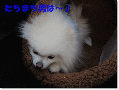 b0167519_1456146.gif