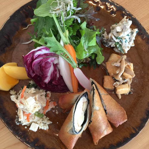「焼き豆腐と林檎とクリームチーズの春巻き」_a0251920_12064225.jpg
