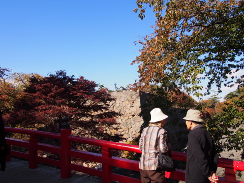 曳屋着座前と紅葉:弘前城曳屋工事*2015.10.23_b0147224_2224954.jpg