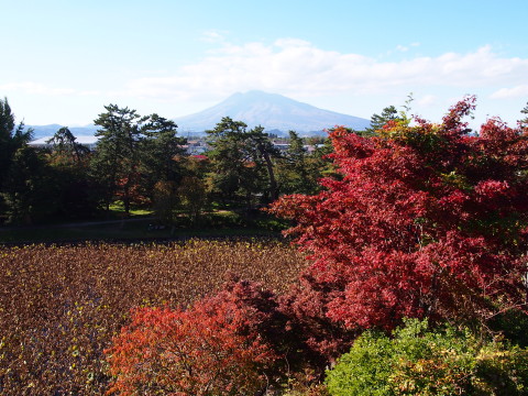 曳屋着座前と紅葉:弘前城曳屋工事*2015.10.23_b0147224_22253015.jpg