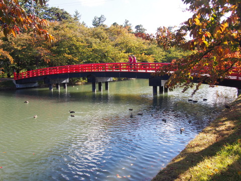 曳屋着座前と紅葉:弘前城曳屋工事*2015.10.23_b0147224_22274495.jpg