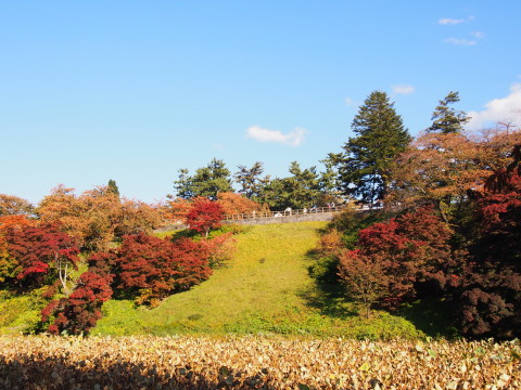 曳屋着座前と紅葉:弘前城曳屋工事*2015.10.23_b0147224_2233515.jpg