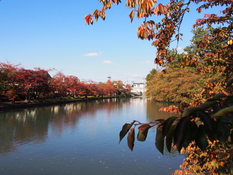曳屋着座前と紅葉:弘前城曳屋工事*2015.10.23_b0147224_22385683.jpg
