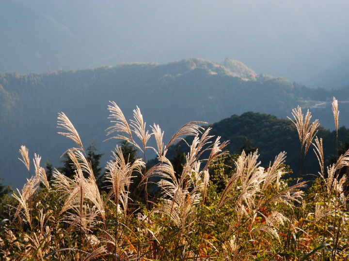 b0244424_2314186.jpg