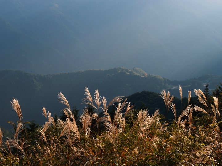 b0244424_232284.jpg