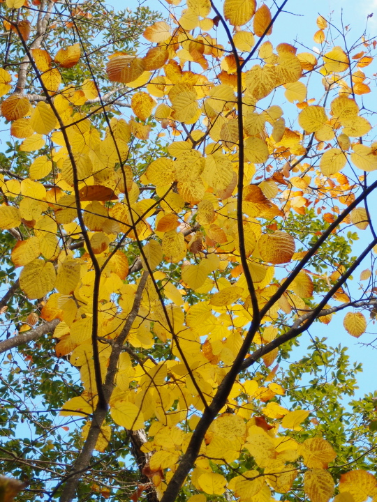 b0244424_2331631.jpg