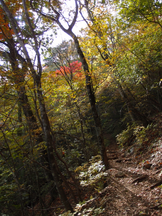 b0244424_2333650.jpg