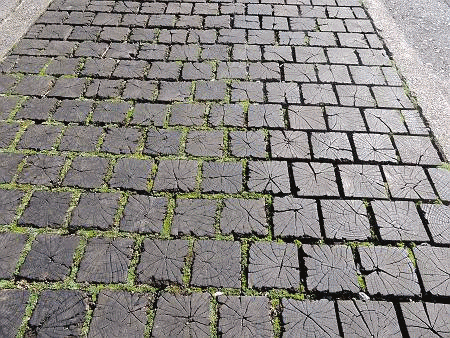 d0065324_23534171.gif