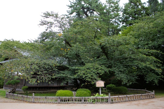 f0348831_07594162.jpg