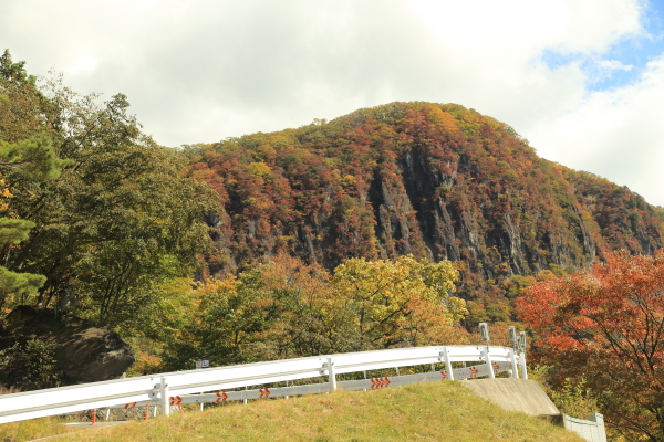 f0229832_7295341.jpg